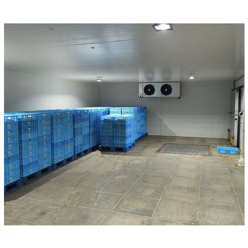 60CBM Commercial Refrigerated Walk-in Storage Small Cold Room for Fruit and Vegetable